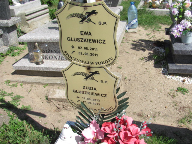 Ewa Głuszkiewicz 2011 Skarszewy - Grobonet - Wyszukiwarka osób pochowanych