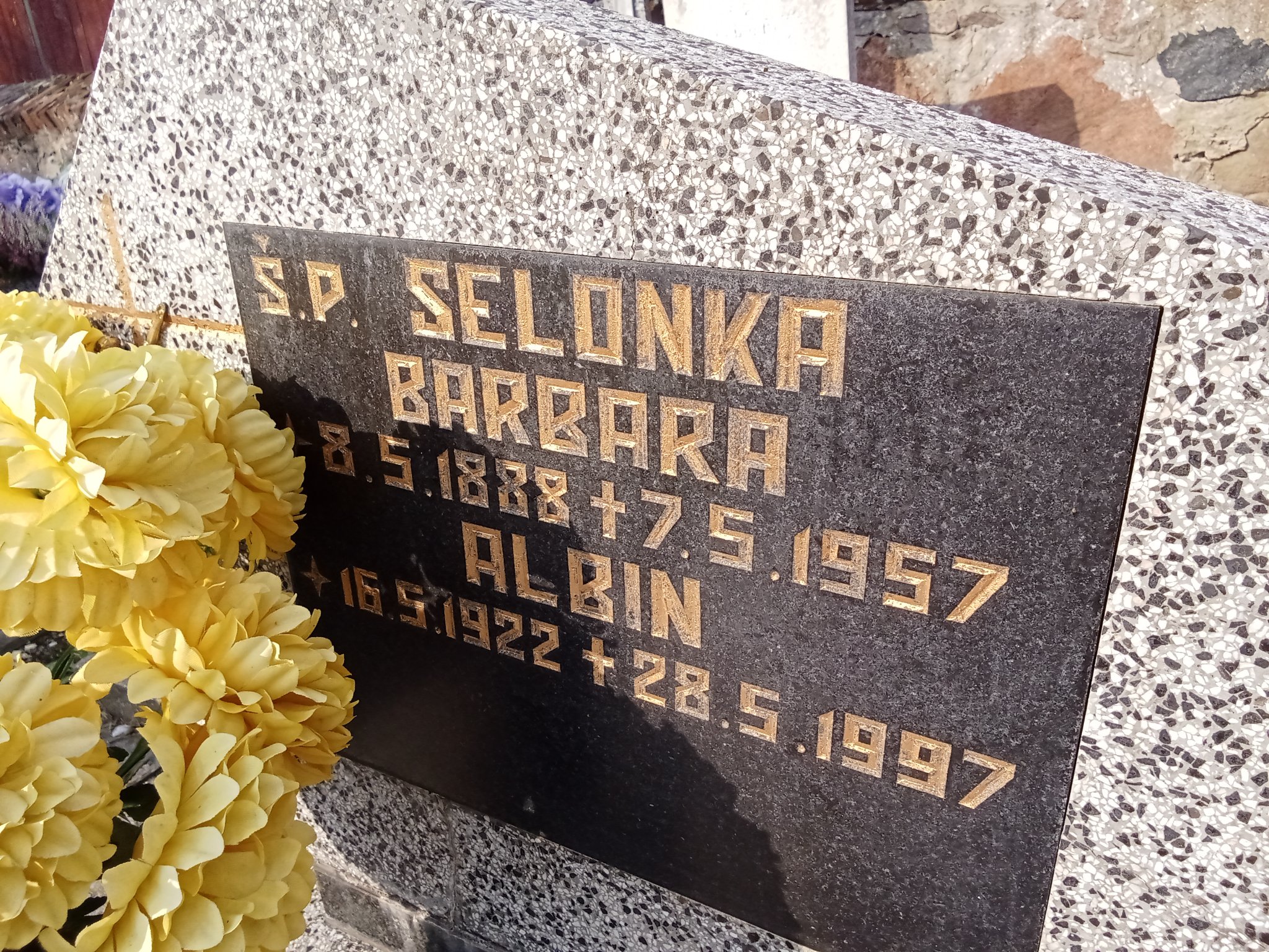 Albin Selonka 1922 Skarszewy - Grobonet - Wyszukiwarka osób pochowanych